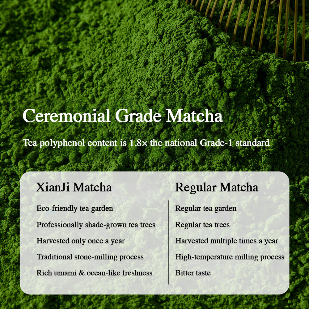 Cloud Realm • 云境 (40g)