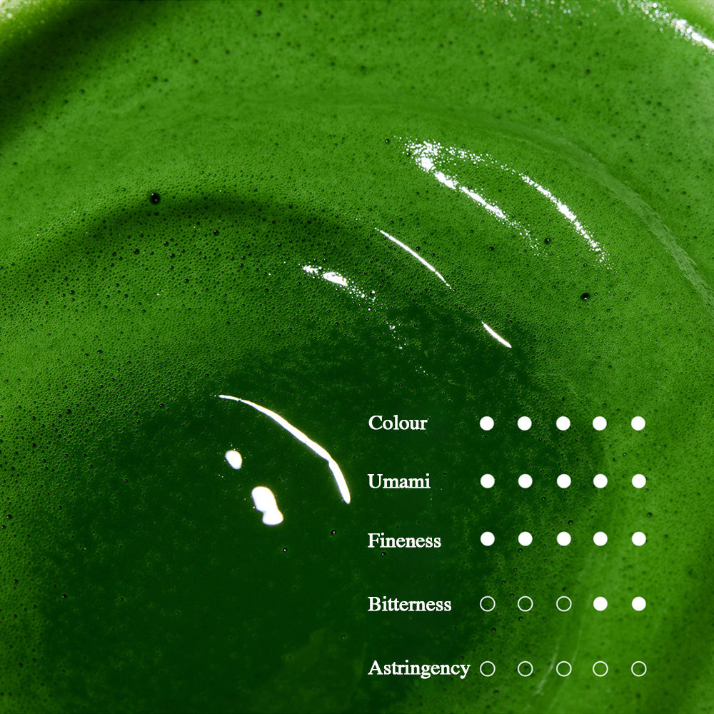 Cloud Realm • 云境 (40g)